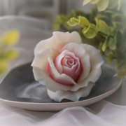 Роза моника форма силиконовая